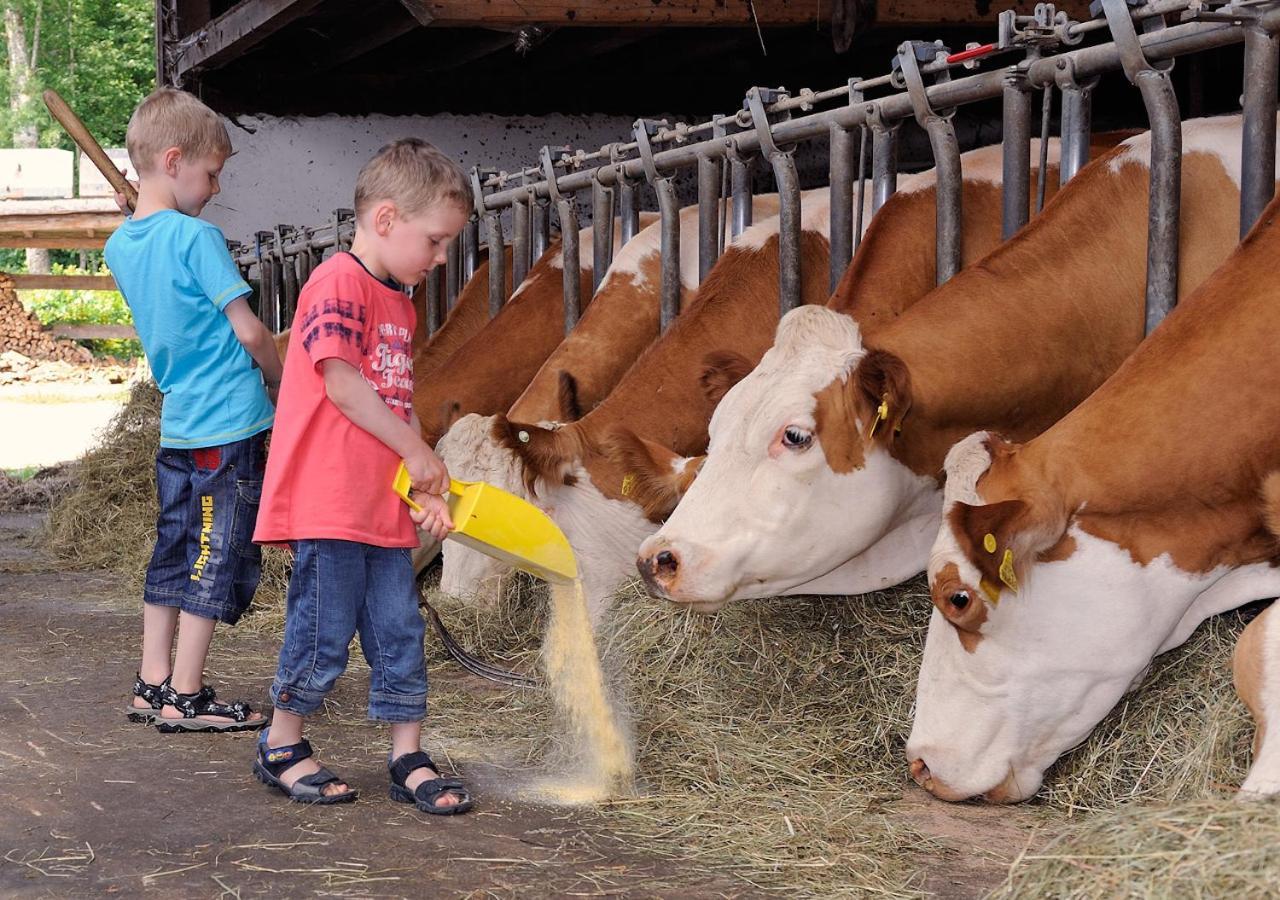 Willa Holznerhof - Chiemgau Karte Inzell Zewnętrze zdjęcie